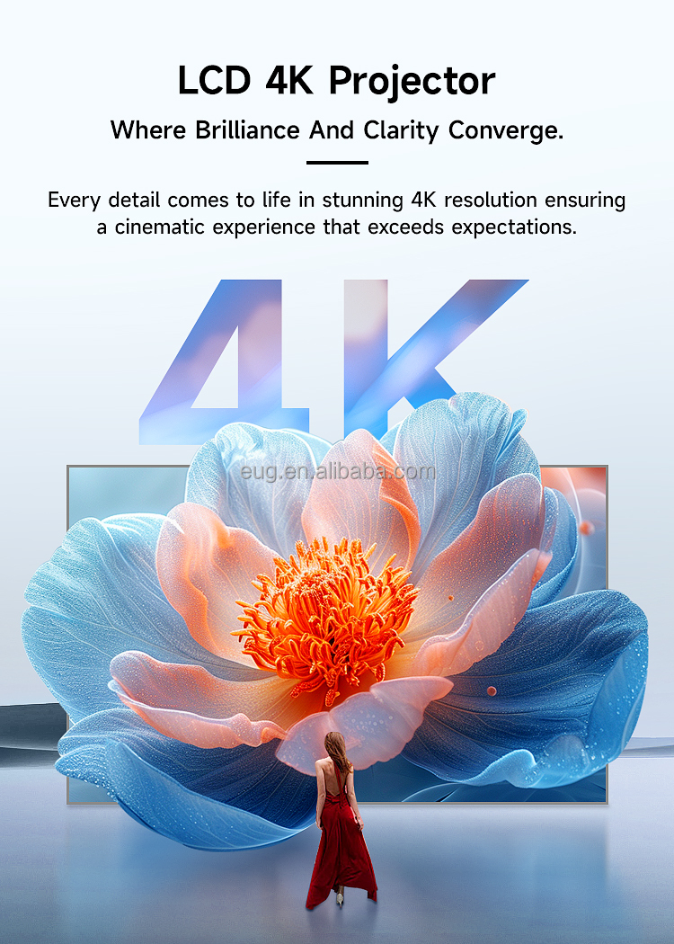 New Design Home Tv Cinema Pock - Home Cinema Design 评论和价格