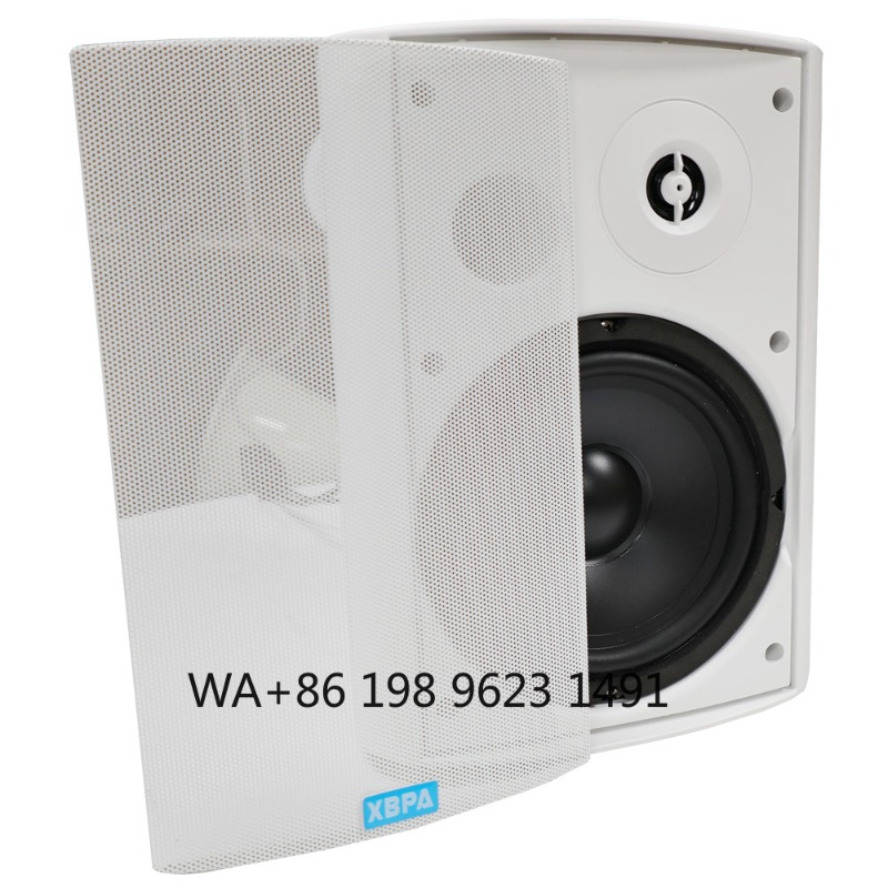 5.1 Wireless WiFi Wall Ceiling - Home Theater Speaker 评论和价格