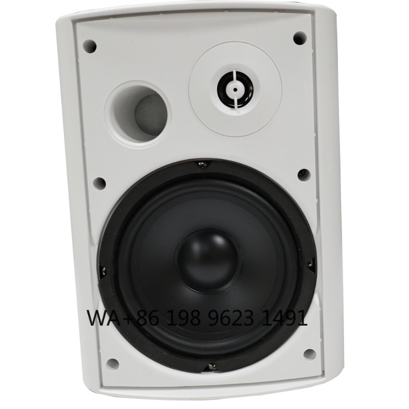 5.1 Wireless WiFi Wall Ceiling - Home Theater Speaker 评论和价格
