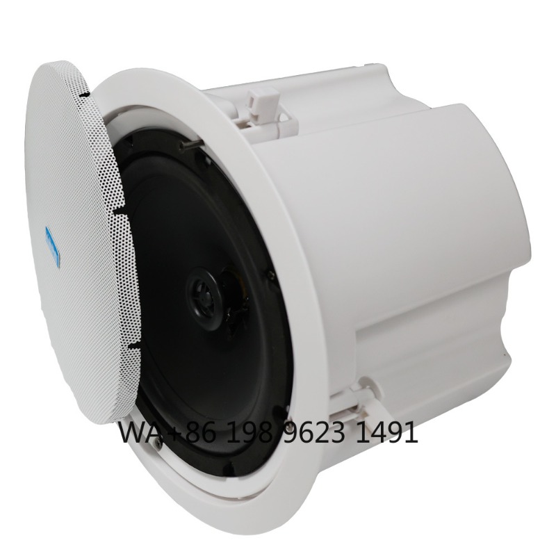 5.1 Wireless WiFi Wall Ceiling - Home Theater Speaker 评论和价格