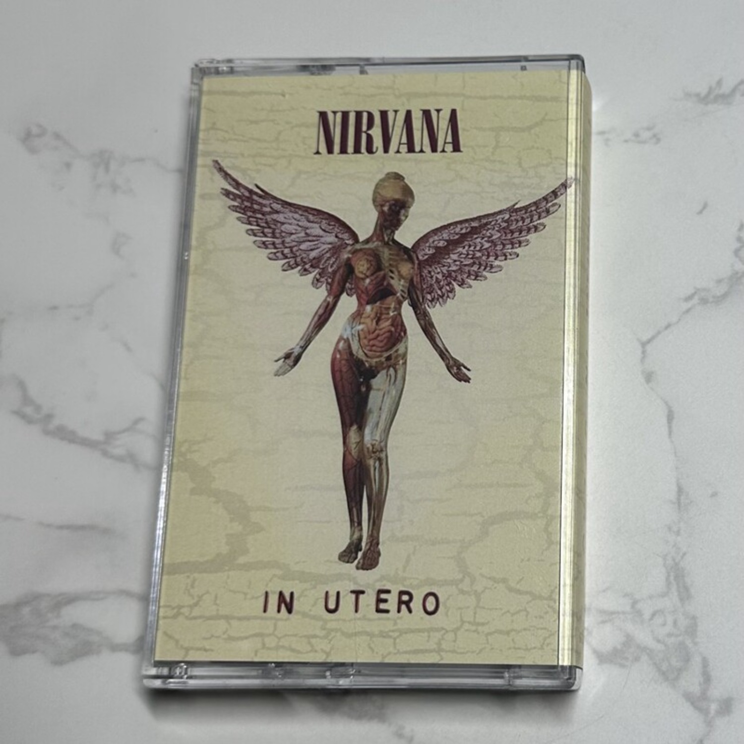 Nirvana Complete Album Collect - Home Cinema In 评论和价格