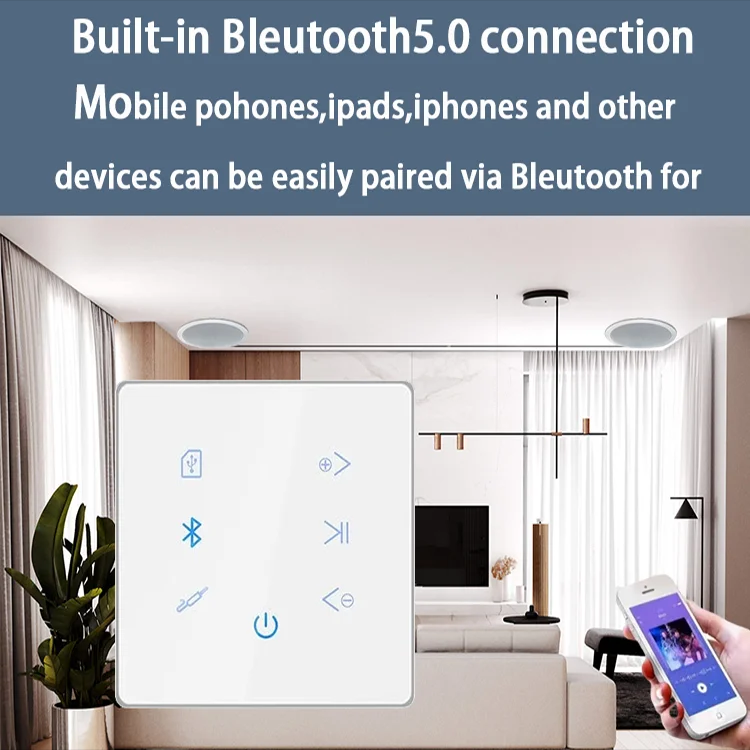 Bluetooth Wall Amplifier Home  - Home Cinema Audio System 评论和价格