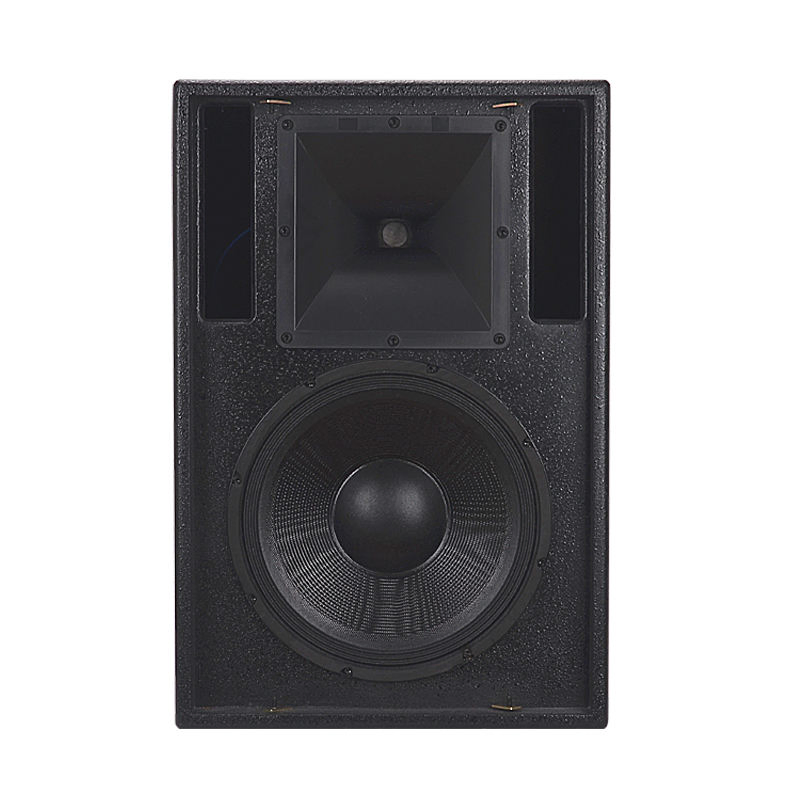 Powerful 12‑Inch Passive PA Sp - Home Theater Speaker 评论和价格