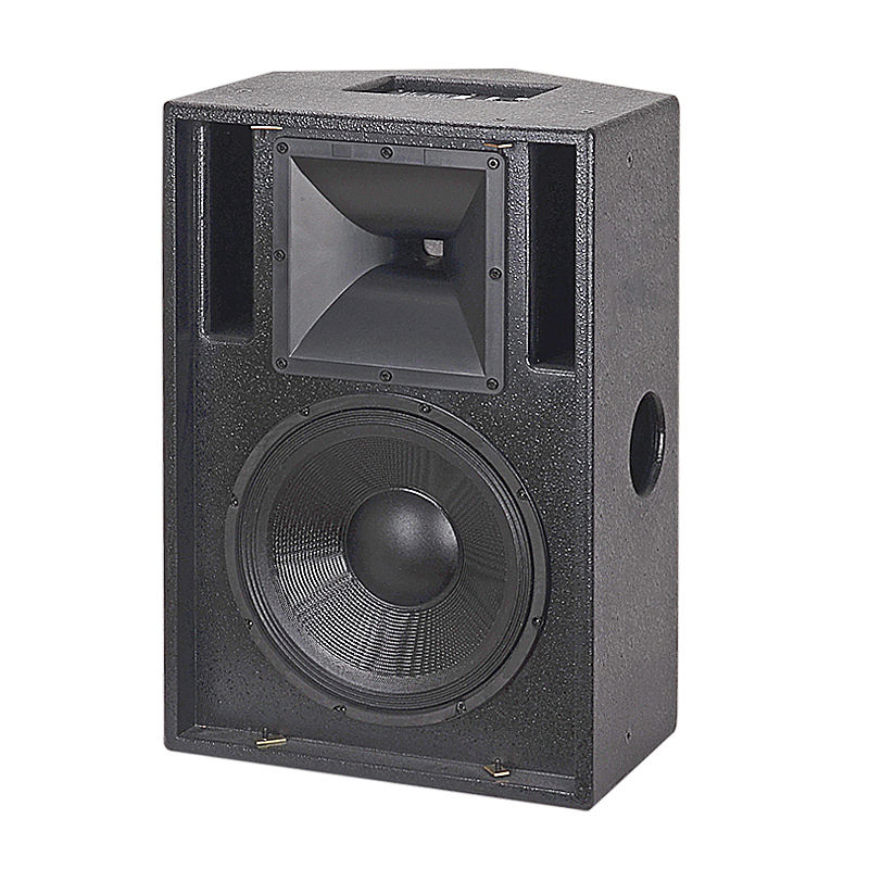 Powerful 12‑Inch Passive PA Sp - Home Theater Speaker 评论和价格
