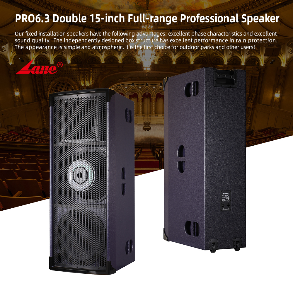 Lane PRO6.3 New Arrival Black  - Home Theater Speaker 评论和价格